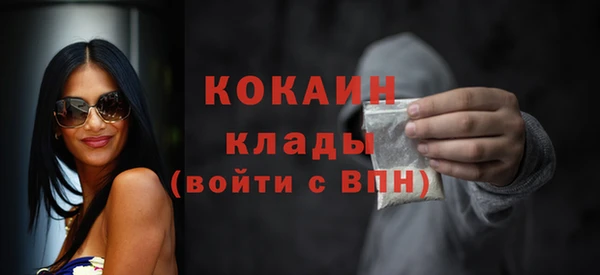 стаф Тайга