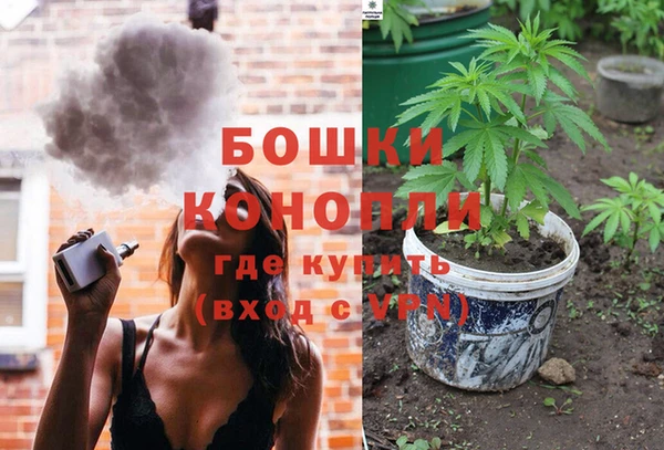 стаф Тайга
