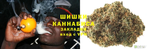 дмт Канск