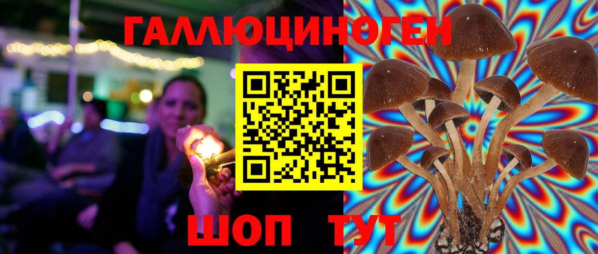 Галлюциногенные грибы Psilocybine cubensis  Вход с VPN  Минеральные Воды 