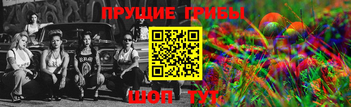 Псилоцибиновые грибы Psilocybe Минеральные Воды